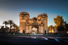 Puerta de Palmas