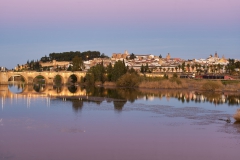 Puente de Palmas